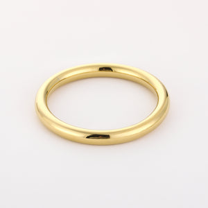 Bangle armband stainless steel goud